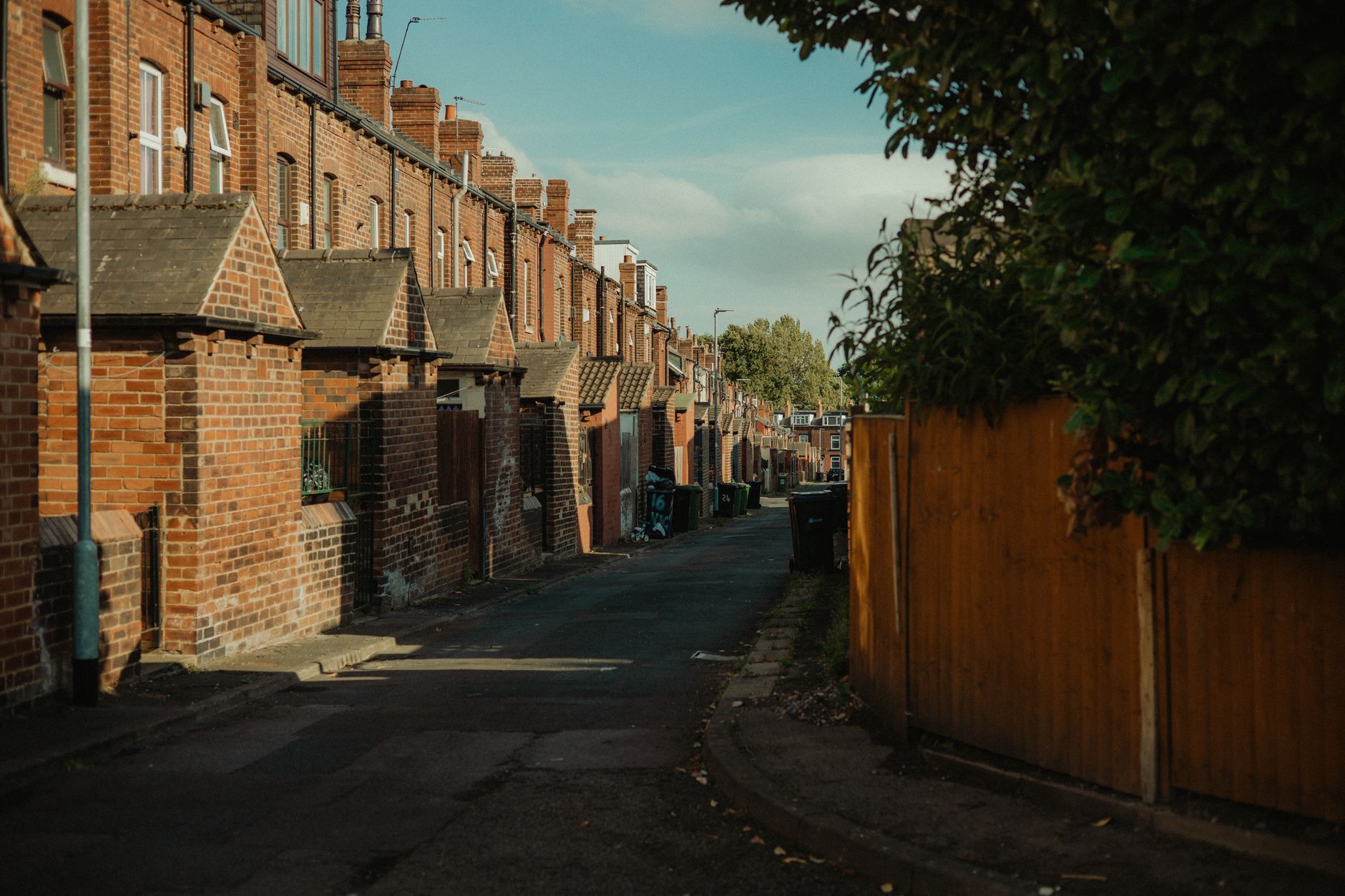 Social Problems in Britain: What the Puppy Trade Tells Us About Our Communities - zdjecie w tresci