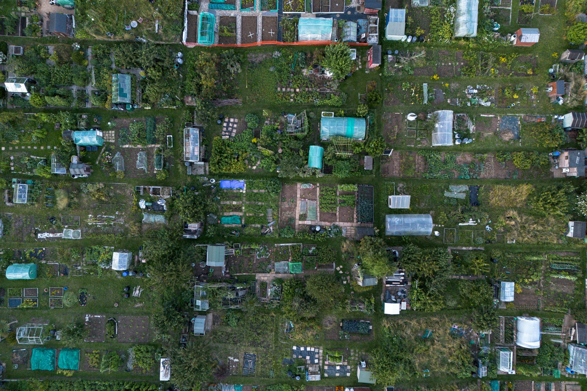 Ilustracja: Allotment Waiting List Rules UK: How Plots Are Allocate Allotment Waiting List Rules UK: How Plots Are Allocated - zdjecie w tresci