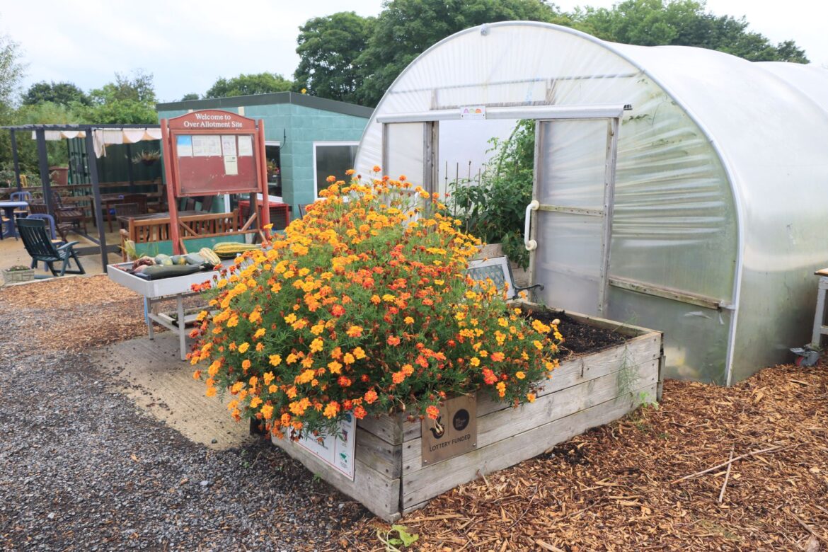 Allotment Waiting List Rules UK: How Plots Are Allocated - ilustracja artykulu