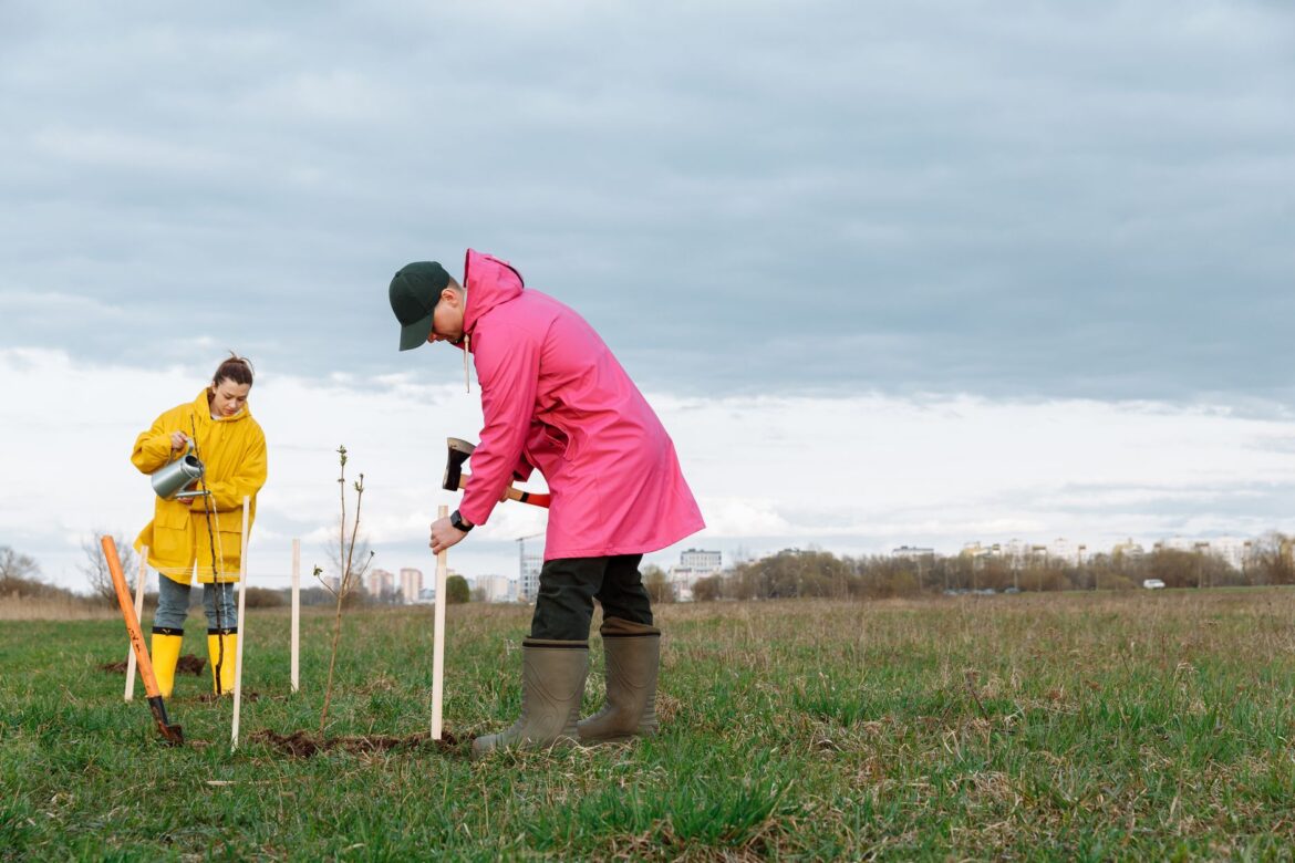 How to Start a Community Orchard Planting Project UK Neighbourhoods Will Keep - ilustracja artykulu