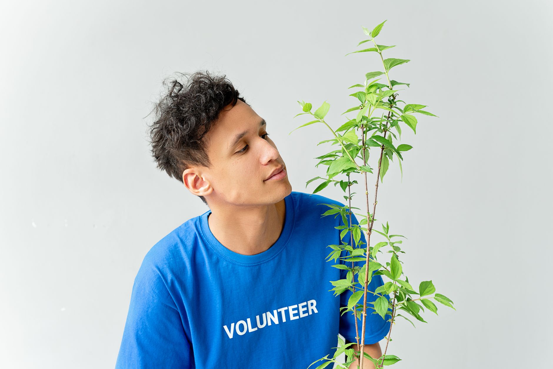 Ilustracja: How to Start a Community Orchard Planting Project UK Ne How to Start a Community Orchard Planting Project UK Neighbourhoods Will Keep - zdjecie w tresci
